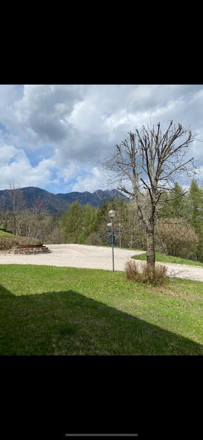 Casa Gilda Val Di Fiemme - Dolomiti Lejlighed Cavalese Eksteriør billede